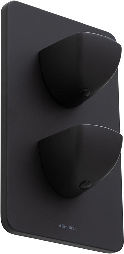 Allen Brau Смеситель для душа Infinity 5.21116-31 (с внутренней частью, 1 выход) черный матовый – фотография-2